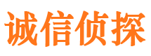 翼城市侦探调查公司